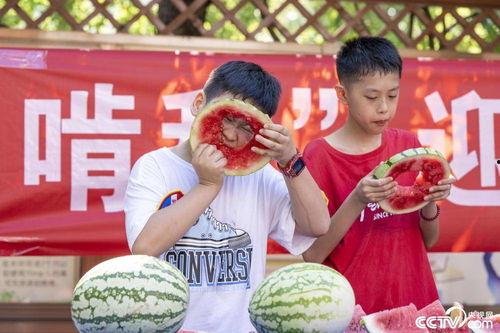 扎西枫丹娱乐吃瓜作品